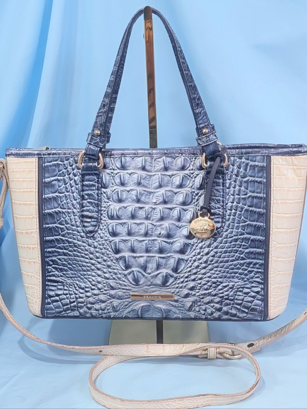 EUC Brahmin Mini Asher in Aquarius Lattice